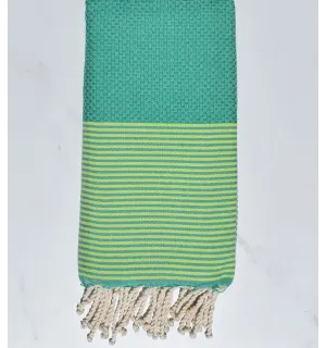 Toalla de playa panal verde menta verde rayado 