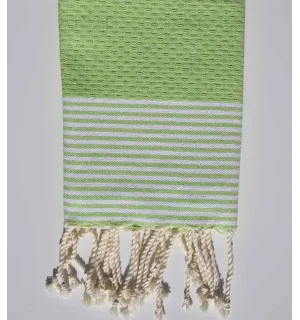 Lote de 10 servilletas anís verde claro Fouta Tunisia - 3